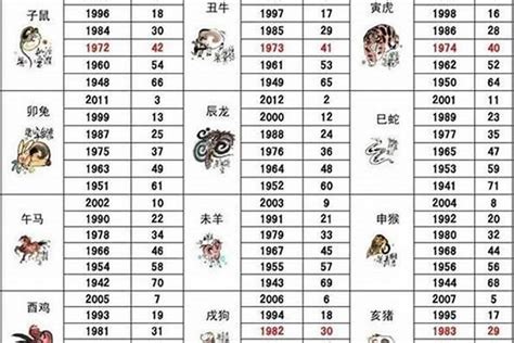 2011年 生肖|2011年是属什么生肖 2011年的生肖是什么